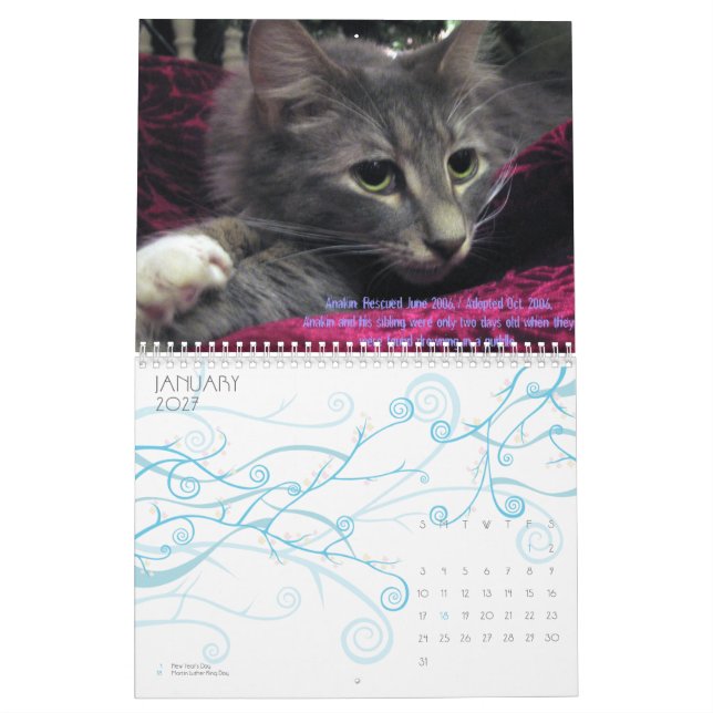 C.A.T.S. Calendar 2009 (Jan 2027)