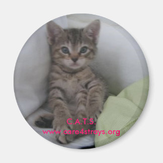 C.A.T.S. Magnet: Magnet