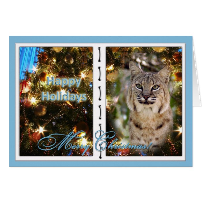 c bobcat 151 g greeting card