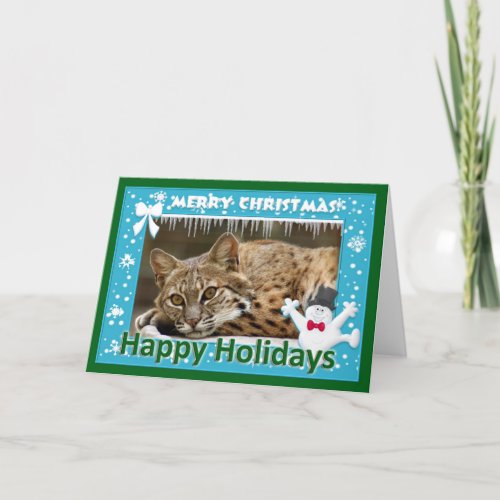 c_bobcat_259_f holiday card