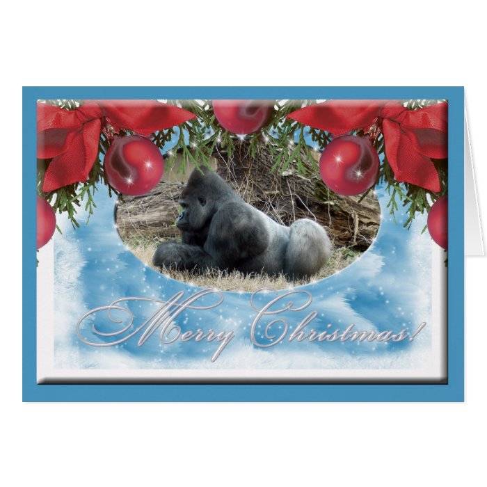 c gorilla 176 c greeting cards