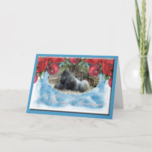 c-gorilla-176-c holiday card