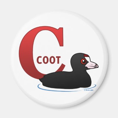 C is for Coot Magnet