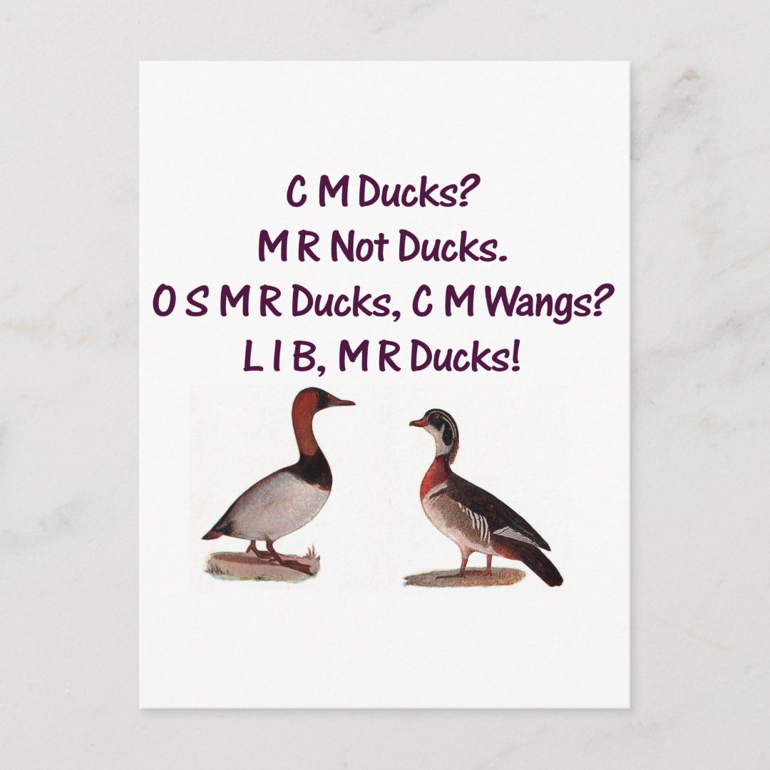 C M Ducks? Funny Southern Accent Postcard | Zazzle