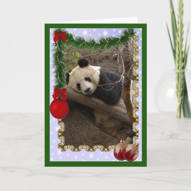 c-panda-21-c holiday card (Front)