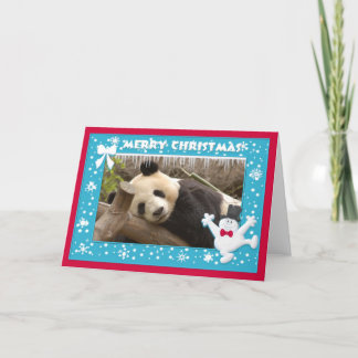 c-panda-278-b card