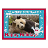 c-panda-278-s (Front Horizontal)