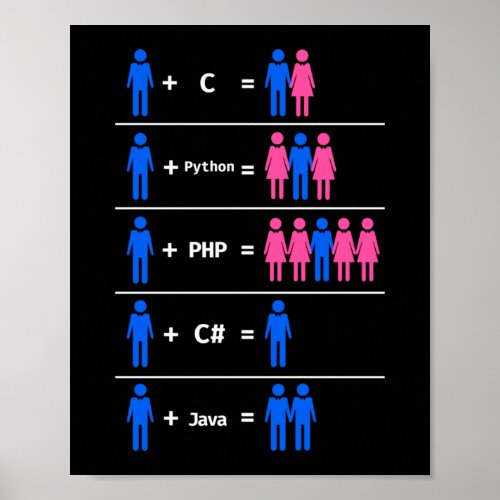 C Python Php Java Programmer Coding Poster