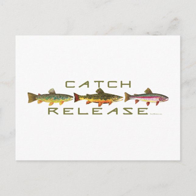C & R - Trout Postcard (Front)