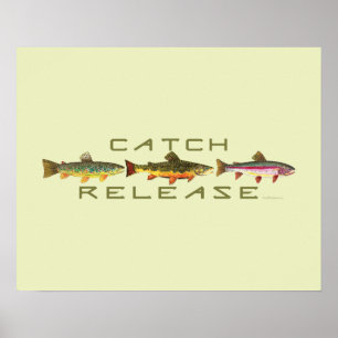 . C & R - Trout Poster