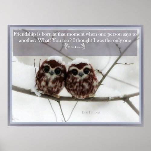 C S Lewis and the Owls Poster