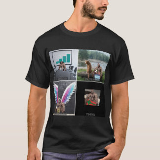 C:\Users\DELL\Desktop\L28\L2288\Barry wood Meme fu T-Shirt