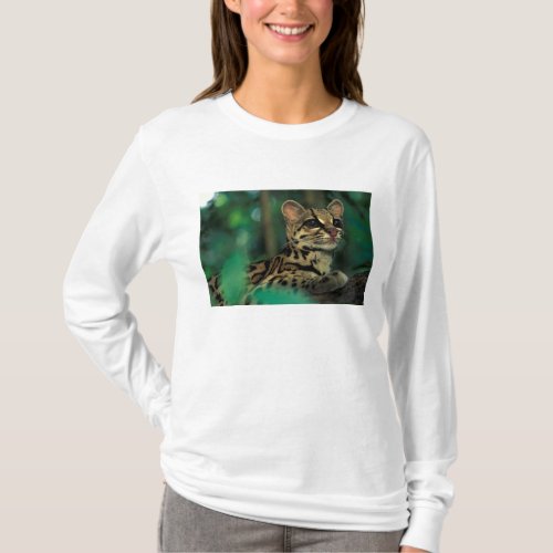 CA Central Panama Soberania NP Margay T_Shirt