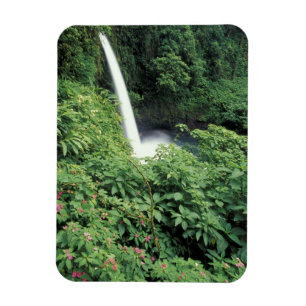 CA, Costa Rica. La Paz waterfall and impatients Magnet