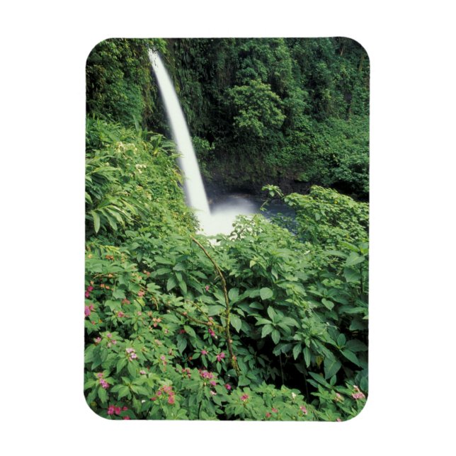 CA, Costa Rica. La Paz waterfall and impatients Magnet (Vertical)