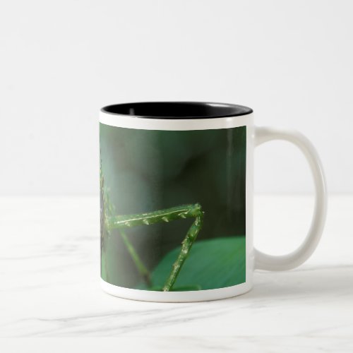 CA Costa Rica La Selva Biological Station Two_Tone Coffee Mug