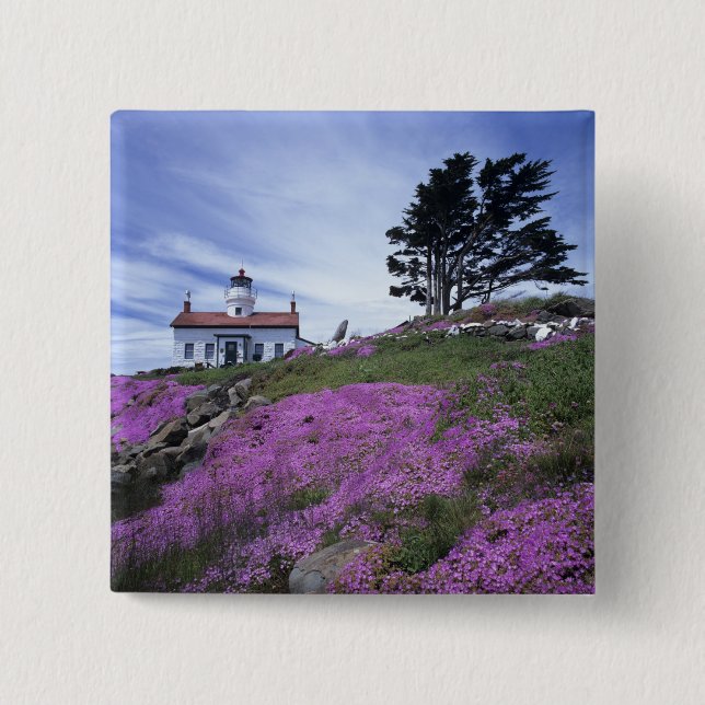 CA, Crescent City, Battery Point lighthouse with Button (Front)