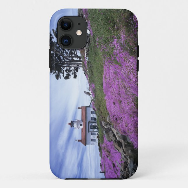 CA, Crescent City, Battery Point lighthouse with Case-Mate iPhone Case (Back)