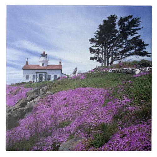 CA Crescent City Battery Point lighthouse with Ceramic Tile