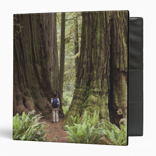 CA, Jedediah Smith Redwoods State Park, 3 Ring Binder (Front/Inside)