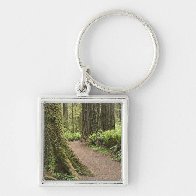 CA, Jedediah Smith State Park, Simpson-Reed Keychain (Front)