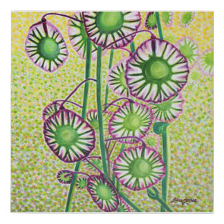 CA Native Plant - Spokepod Faux Canvas Print