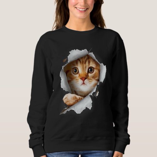 Ca Orange Cat Cat Torn Cloth Kitten Sweatshirt