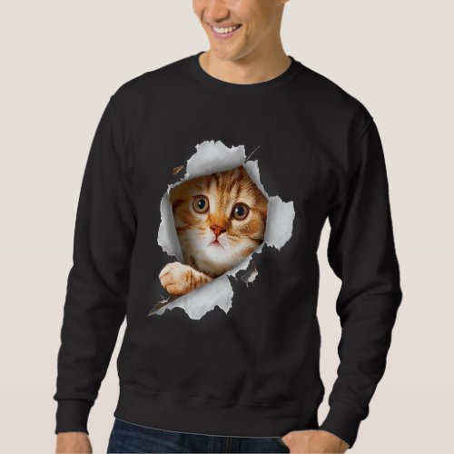 Ca Orange Cat Cat Torn Cloth Kitten Sweatshirt