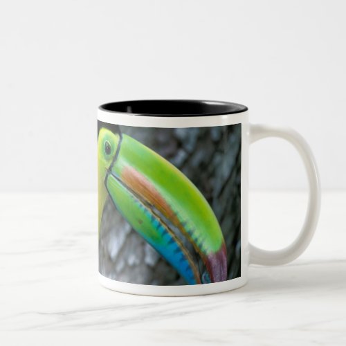 CA Panama Barro Colorado Island Keel_billed Two_Tone Coffee Mug