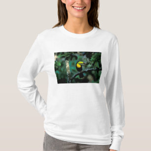 CA, Panama, Soberania NP, Keel-billed Tuccan T-Shirt