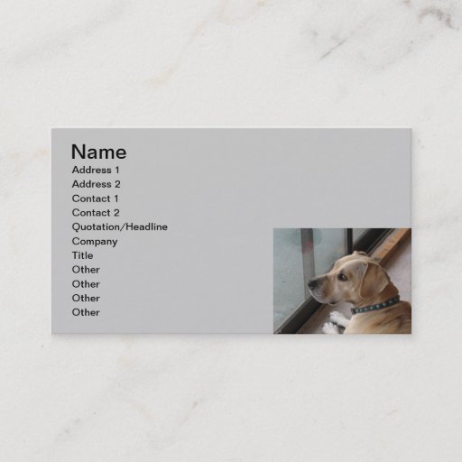Customizable CA- Pet Sitting Business Cards