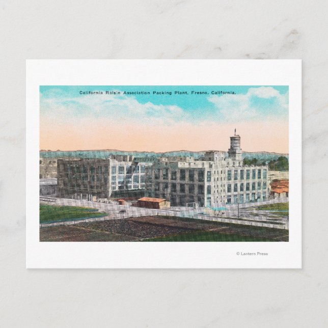 CA Raisin Association Packing Plant Postcard (Front)