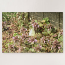 Cabage moth on purple flowers