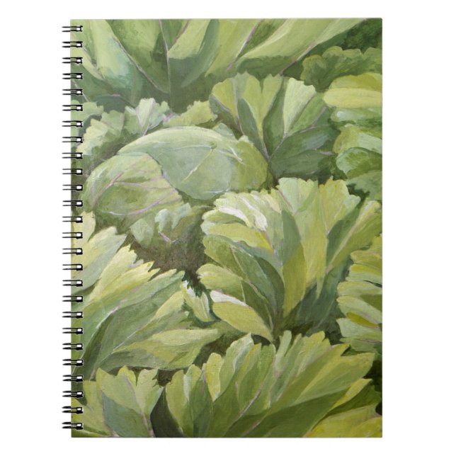 Cabbage 2013 notebook (Front)