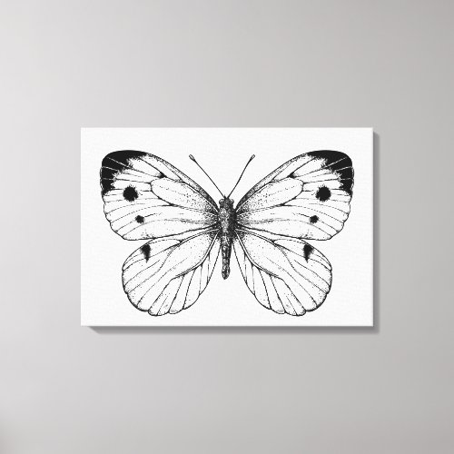 Cabbage butterfly canvas print