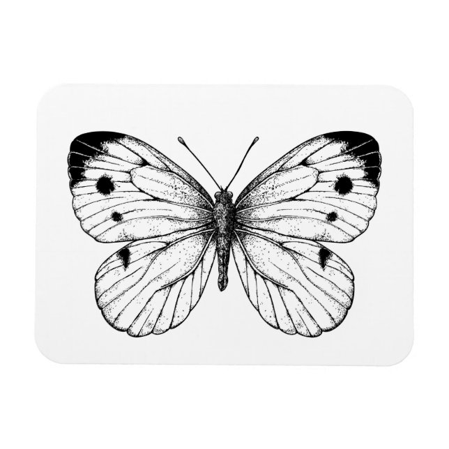 Cabbage butterfly magnet (Horizontal)