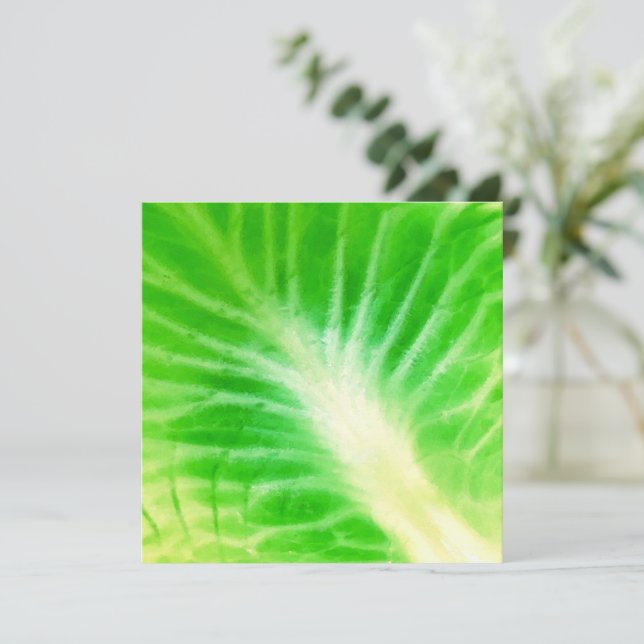 Cabbage Leaf (Standing Front)