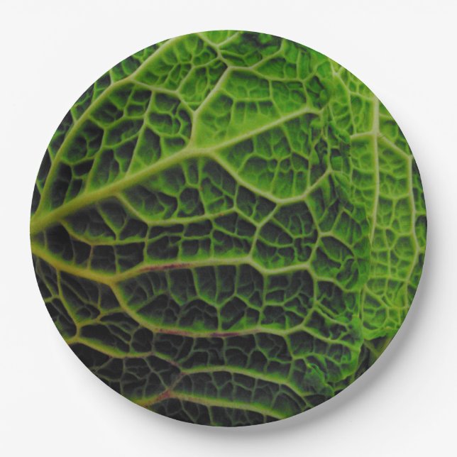 CABBAGE PAPER PLATES (Front)
