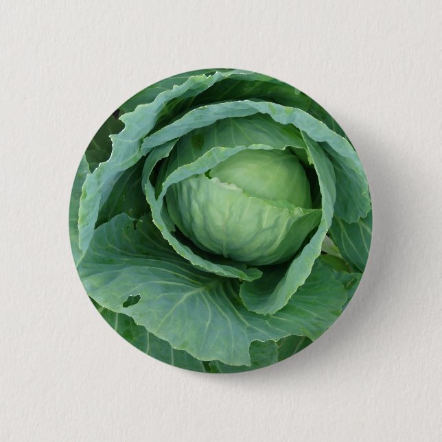 Cabbage Pinback Button (Front)