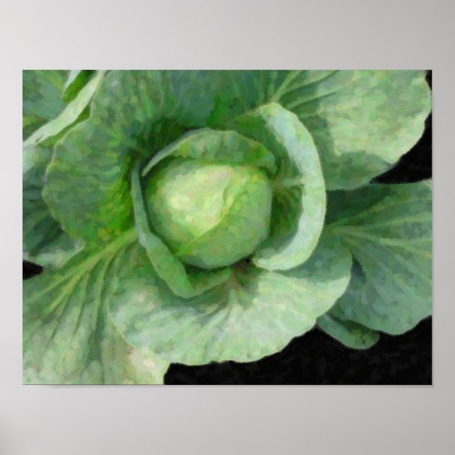 Cabbage Poster (Front)