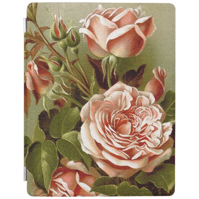Cabbage Rose Flowers Ipad Cover (Front)