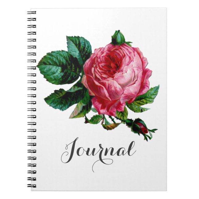 Cabbage Rose Journal Notebook (Front)