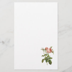 cabbage rose (Rosa centifolia foliacea) by Redouté Stationery