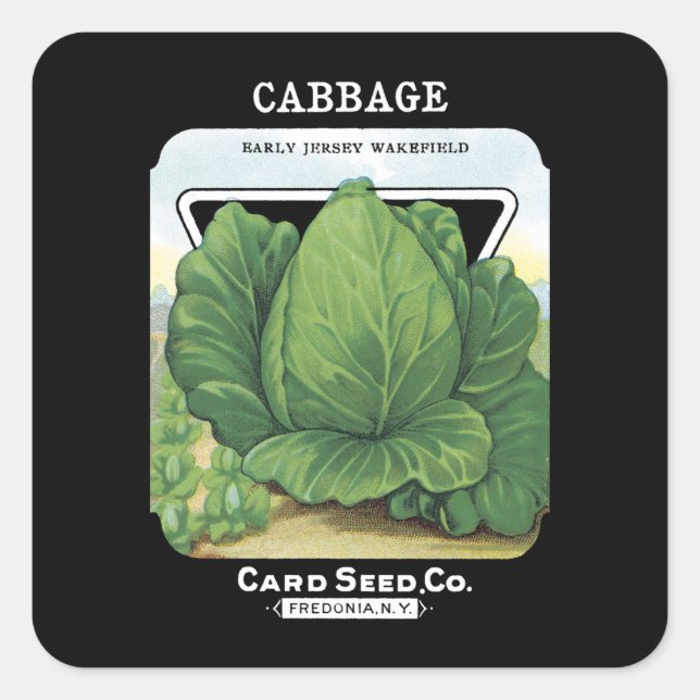 Cabbage Seed Packet Label (Front)