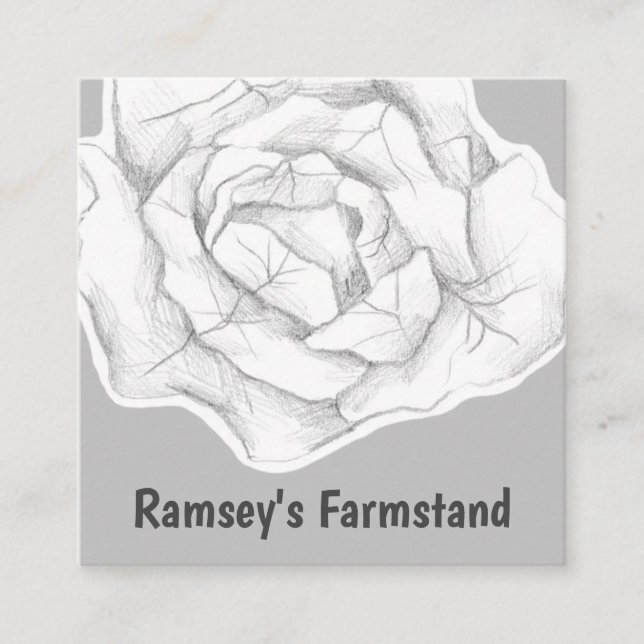 Cabbage Vegetable Fresh Produce Gray Square Business Card (Front)