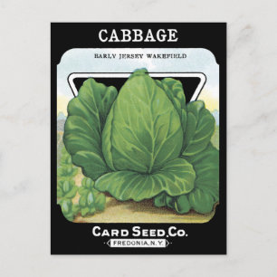 Cabbage Vintage Seed Packet Vegetable Leafy Green Postcard