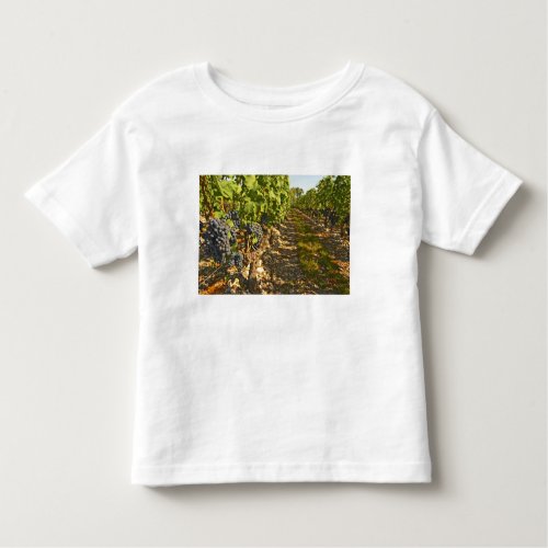 Cabernet Sauvignon vines in a row in the Toddler T_shirt