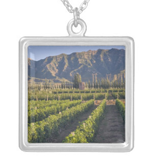 Cabernet Sauvignon vines in Huailai Rongchen Silver Plated Necklace
