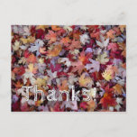[ Thumbnail: Cabin Chic and Nature-Inspired "Thanks!" Postcard ]