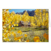 Cabin in Aspens (Front Horizontal)